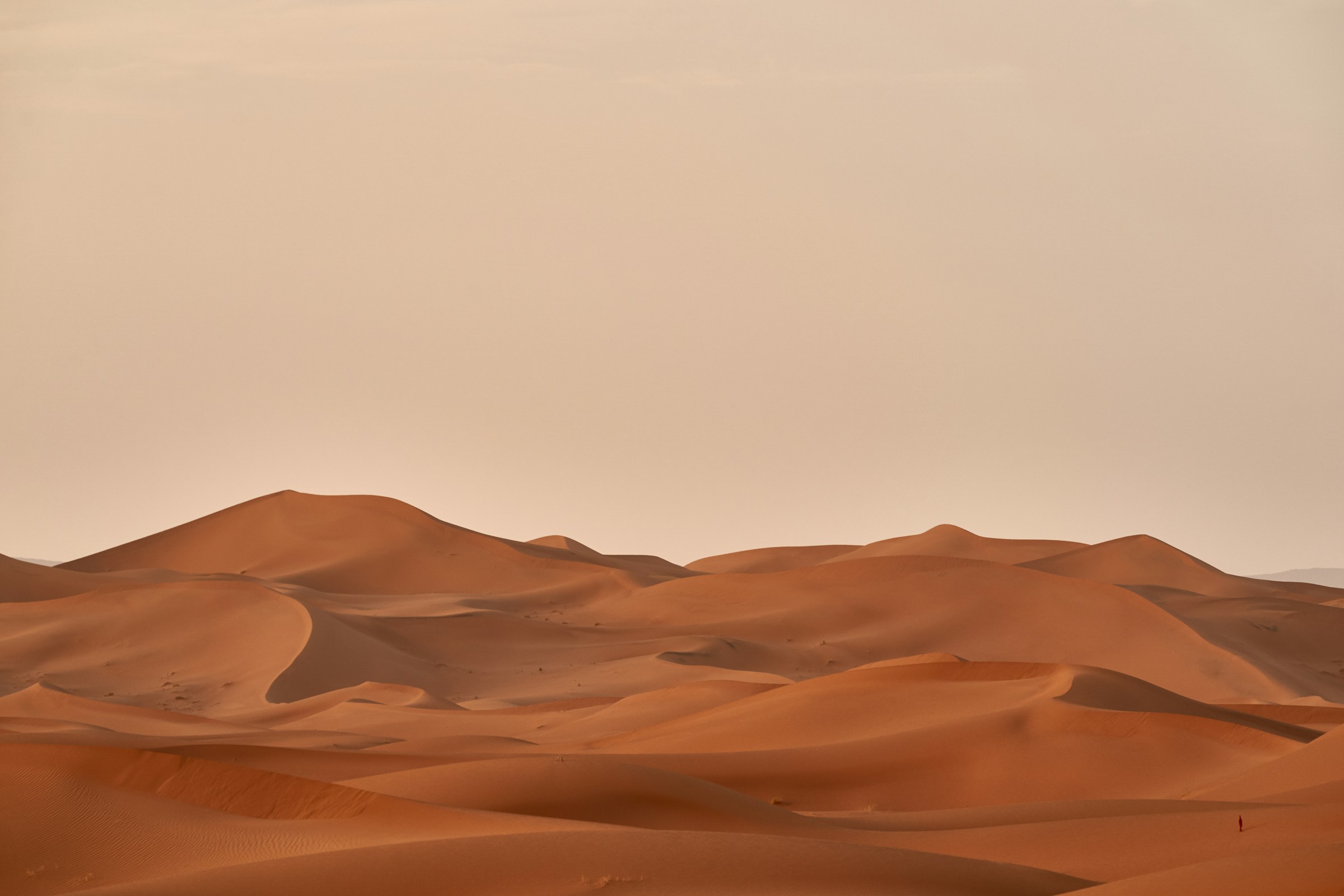 Desert landscape